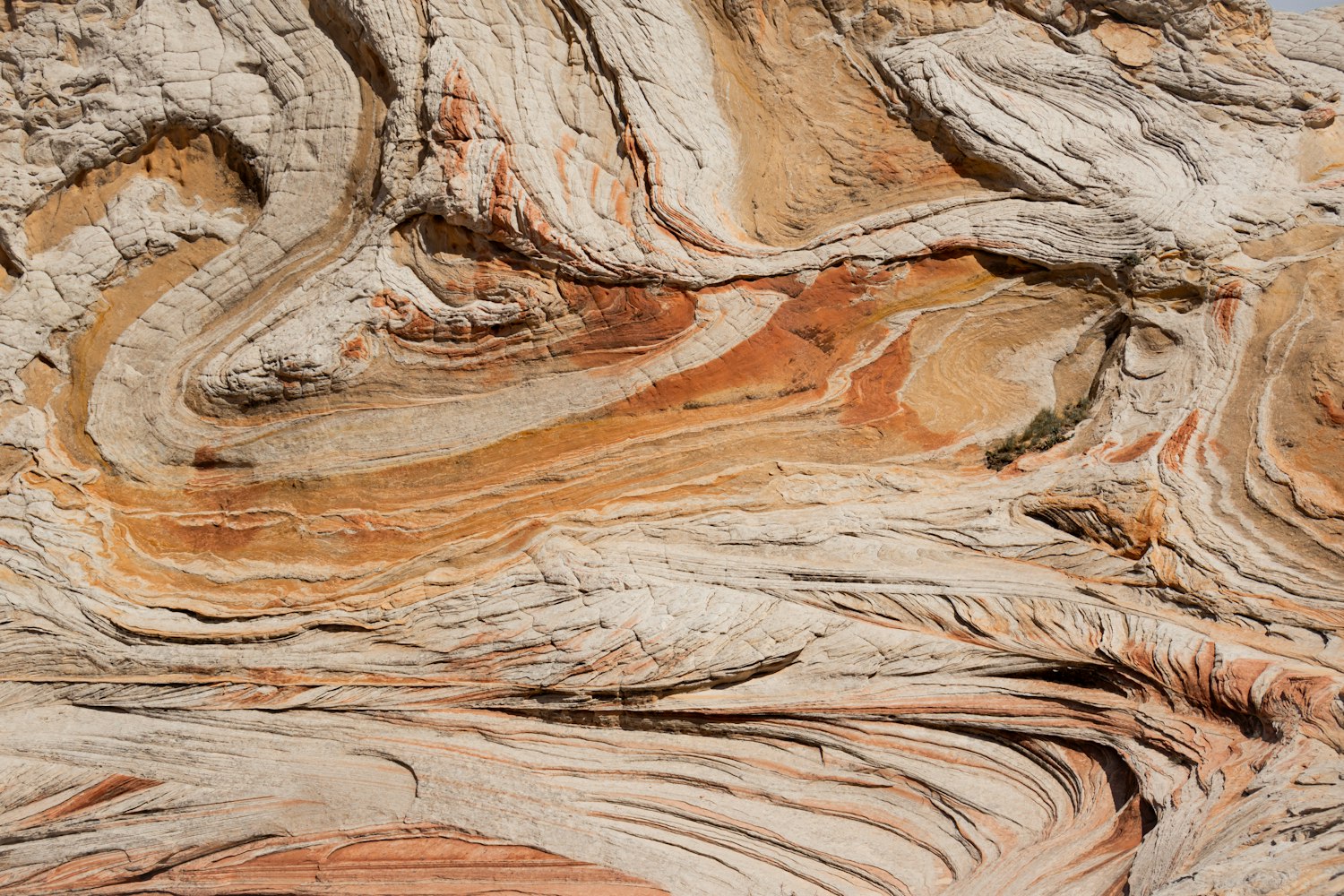 Abstract swirling sandstone formation in orange and cream tones
