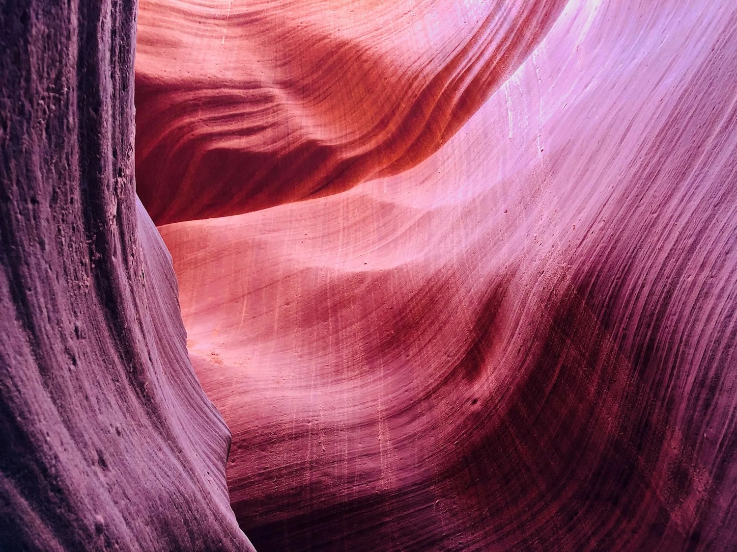 Pink and magenta-lit sandstone canyon walls with sculpted ridges