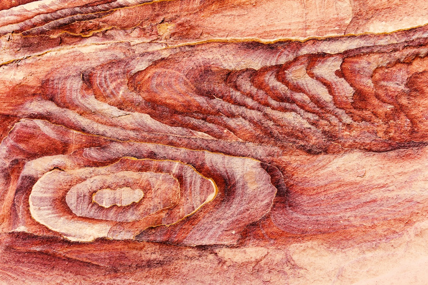 A close-up of grained sandstone rock with wood-like banding in warm tones
