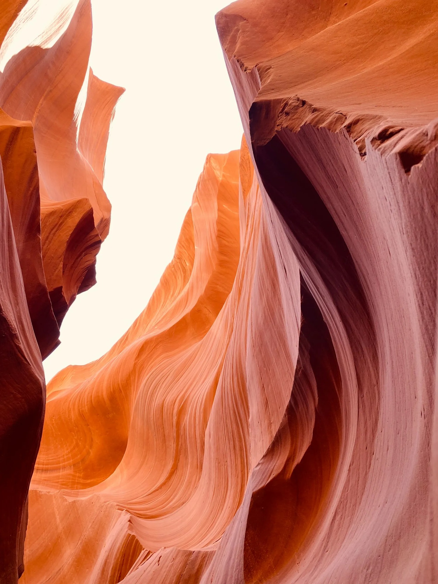 Warm, flowing sandstone canyon walls opening onto a bright sky